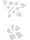 Templates for Nail Art Polish Tattoo NPT - NPT005