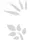 Templates for Nail Art Polish Tattoo NPT - NPT012