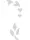 Templates for Nail Art Polish Tattoo NPT - NPT014