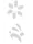Templates for Nail Art Polish Tattoo NPT - NPT019