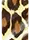 Nalepnice za nokte foto dezeni ASNNASC - Leopard Skin