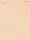Stick Foundation MAKEUP REVOLUTION Fast Base 6.2g - F3