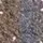 Face & Eyes Pigment MAKEUP REVOLUTION Crushed Pearl 1.6g - Money Tree