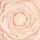 Highlighter REVOLUTION PRO Lustre 9g - Pink Rose