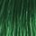 Pigment za kosu JJ's Direct Color 100ml - Green Woodland