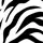 Četka za raščešljavanje kose - Tangle No More - Zebra