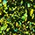 Mirror Chrome Powder - Aurora Chameleon - CP006