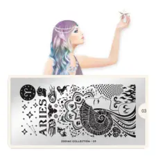 Stamping Nail Art Image Plate MOYOU Zodiac 03