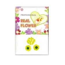Ukrasno cveće Nail Art - Flower31