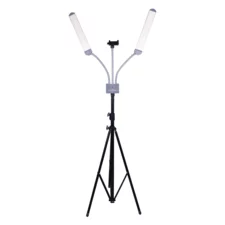 Dual LED Lamp