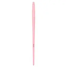 Lip Brush - Pink BLSH454