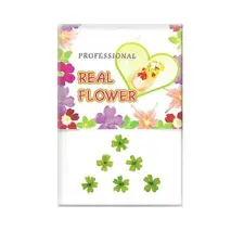 Flower Design for Nail Art - Flower102