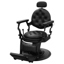 Hair Styling Barber Chair WL-B195B
