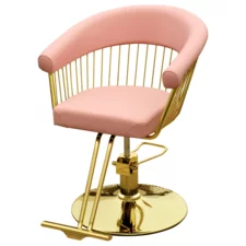 Hair Styling Chair with Hydraulic WL-S2299P