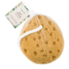 Bath Sponge