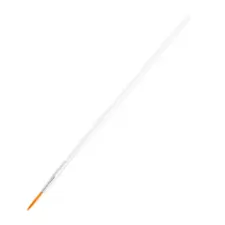 Nail Art Brush