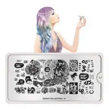 Stamping Nail Art Image Plate MOYOU Zodiac 17
