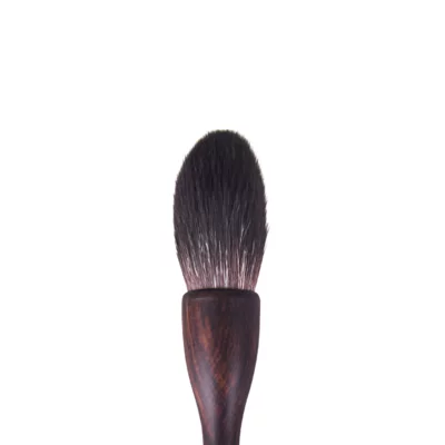 Highlight Brush - BLSH393