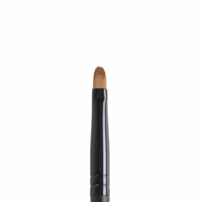 Lip Brush BLUSH 20B