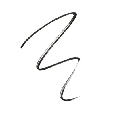 Precision Artist Eyeliner REVOLUTION PRO Black