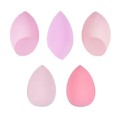 Blending Sponges - Perfect Blend 5/1