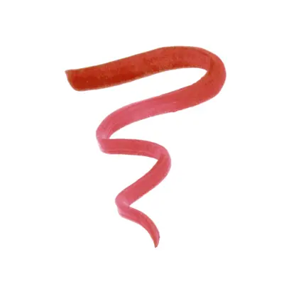 Lip Tint - Stain It - Coral