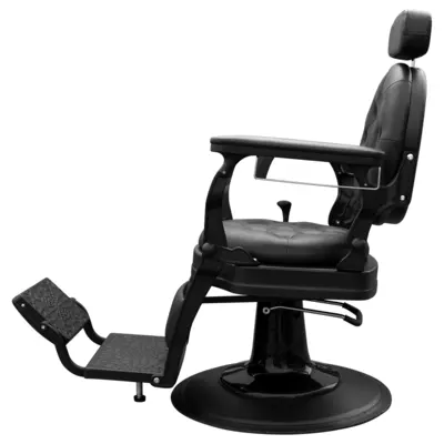 Hair Styling Barber Chair WL-B195B