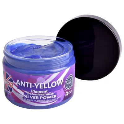 Anti-yellow Pigment Hair Mask - Silver Power - 300ml